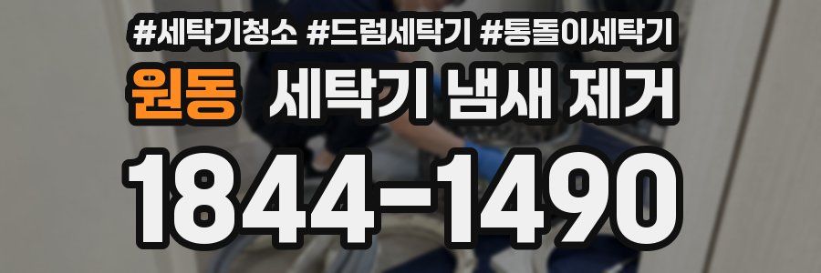 원동 세탁기 냄새 제거