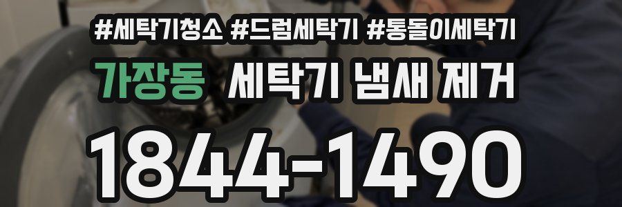 가장동 세탁기 냄새 제거