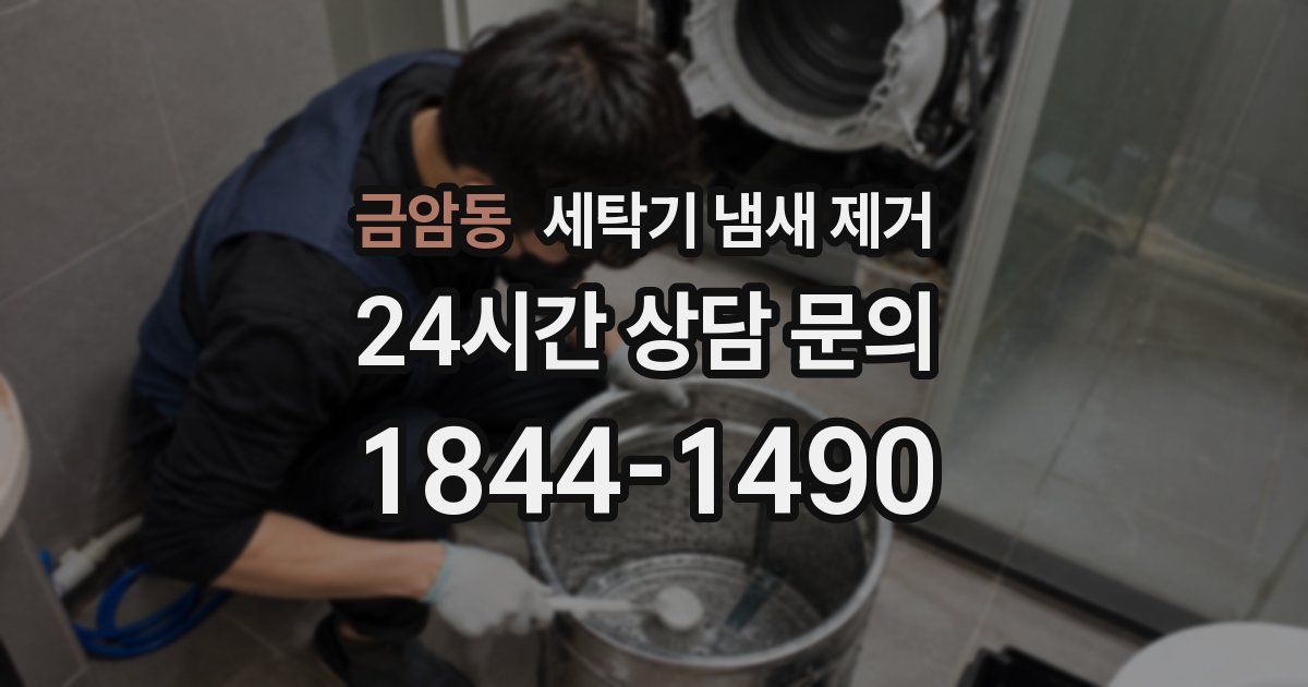 금암동 세탁기 냄새 제거