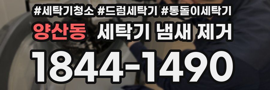 양산동 세탁기 냄새 제거