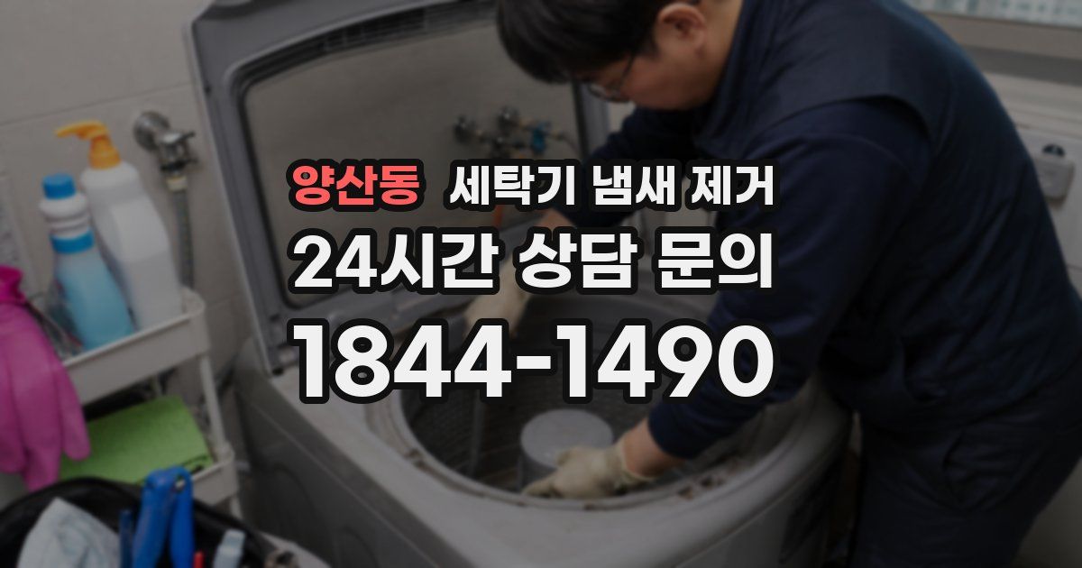 양산동 세탁기 냄새 제거