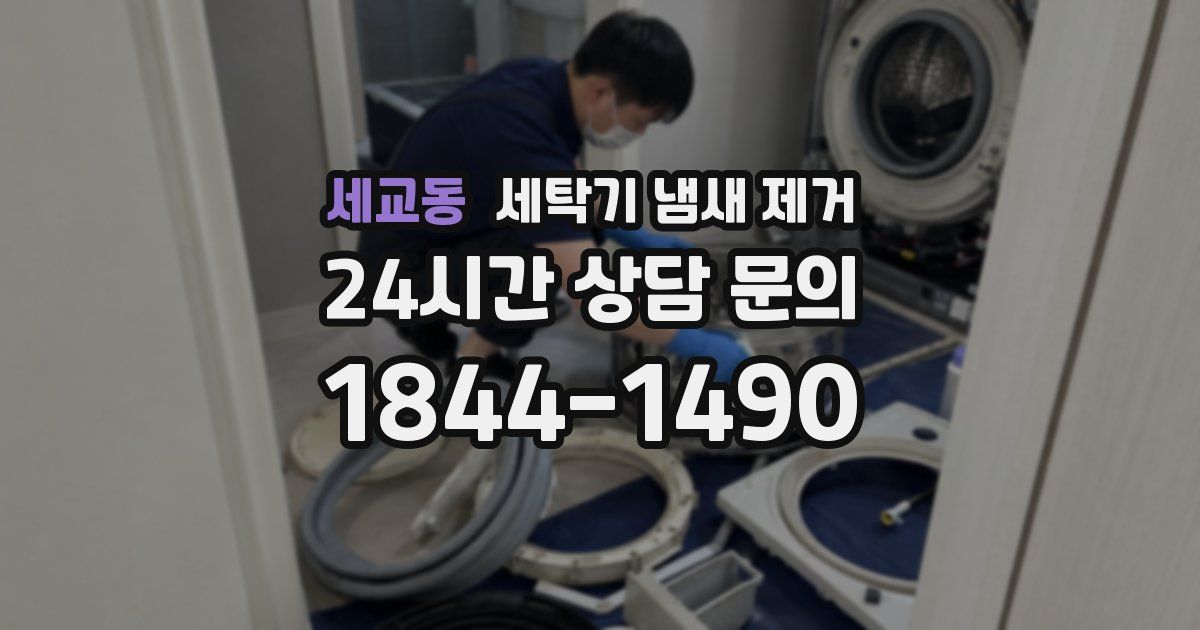 세교동 세탁기 냄새 제거