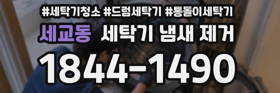 세교동 세탁기 냄새 제거