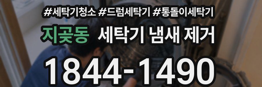 지곶동 세탁기 냄새 제거