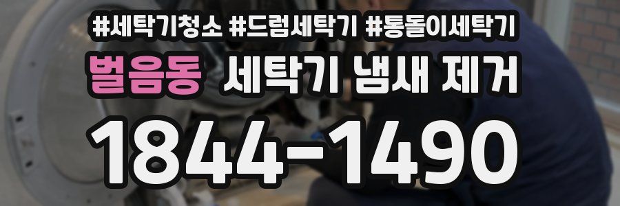 벌음동 세탁기 냄새 제거