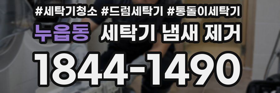 누읍동 세탁기 냄새 제거