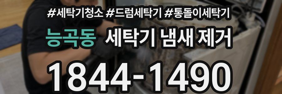 능곡동 세탁기 냄새 제거