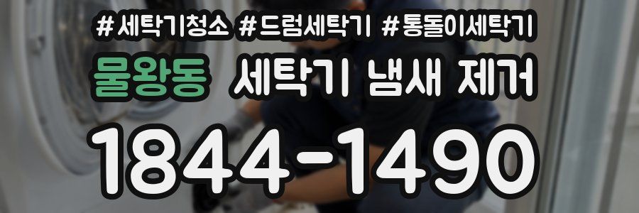 물왕동 세탁기 냄새 제거