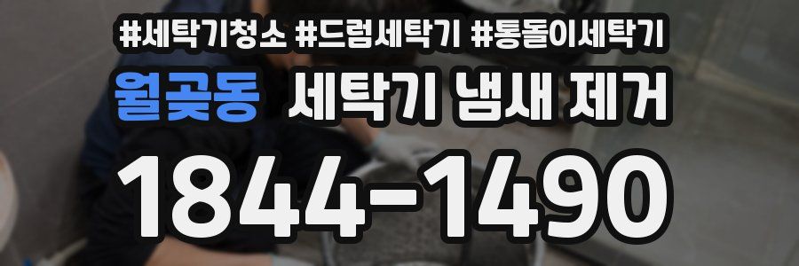 월곶동 세탁기 냄새 제거