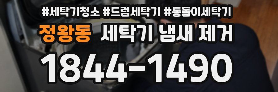 정왕동 세탁기 냄새 제거