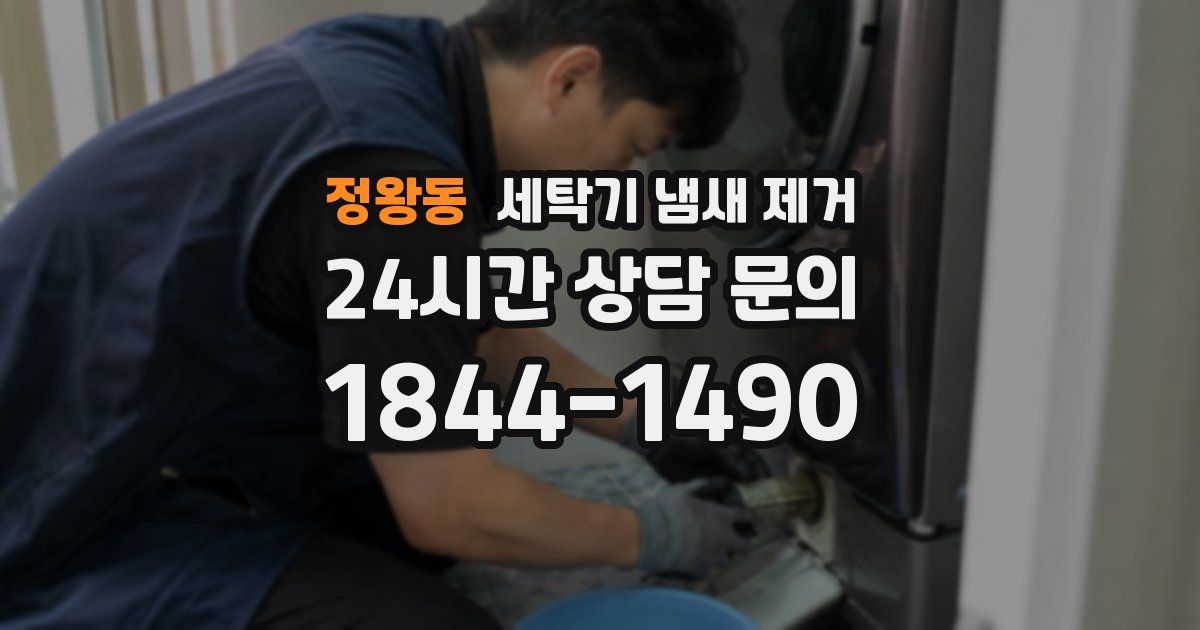 정왕동 세탁기 냄새 제거