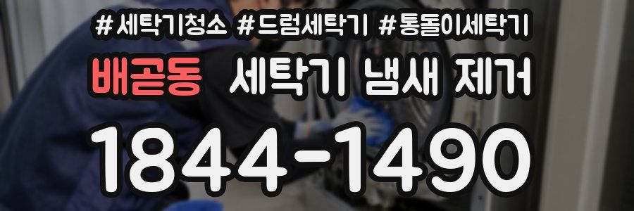 배곧동 세탁기 냄새 제거