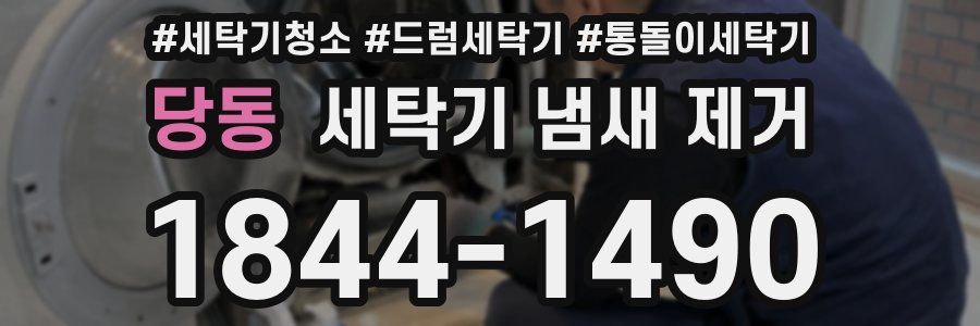 당동 세탁기 냄새 제거
