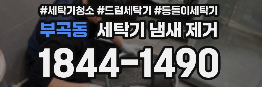 부곡동 세탁기 냄새 제거