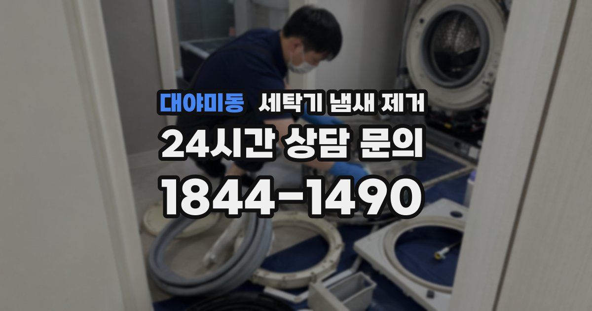 대야미동 세탁기 냄새 제거