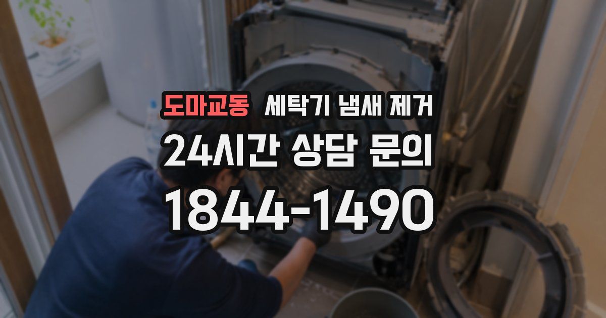 도마교동 세탁기 냄새 제거