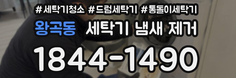 왕곡동 세탁기 냄새 제거