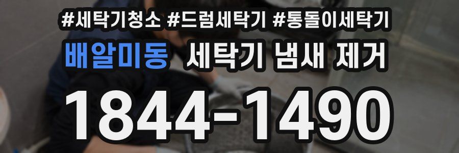 배알미동 세탁기 냄새 제거
