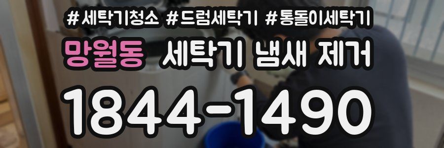 망월동 세탁기 냄새 제거
