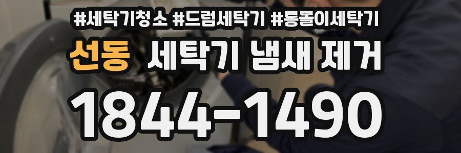 선동 세탁기 냄새 제거