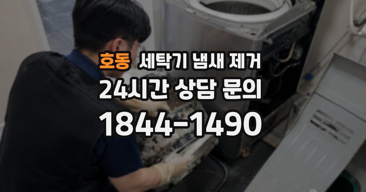 호동 세탁기 냄새 제거