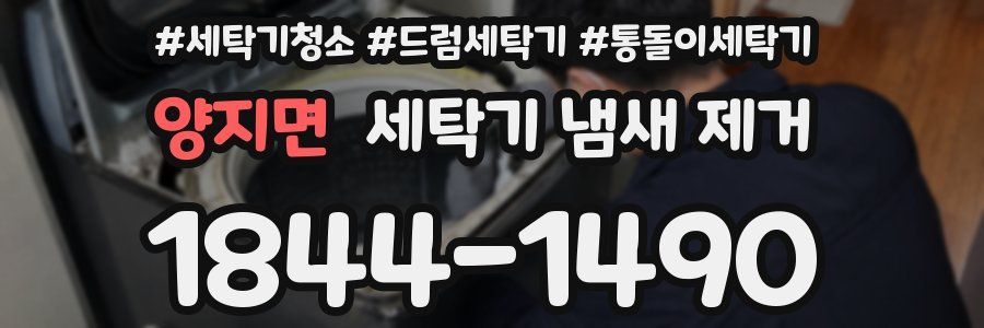 양지면 세탁기 냄새 제거