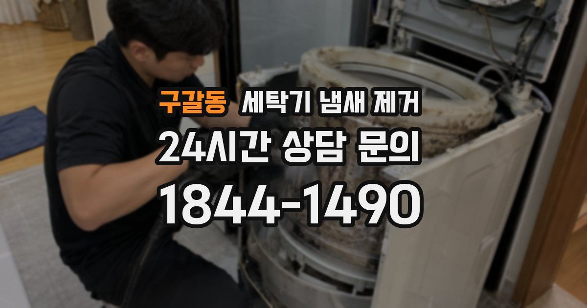 구갈동 세탁기 냄새 제거