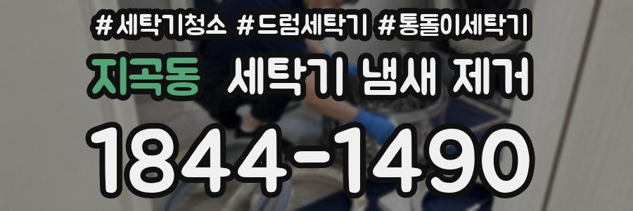 지곡동 세탁기 냄새 제거