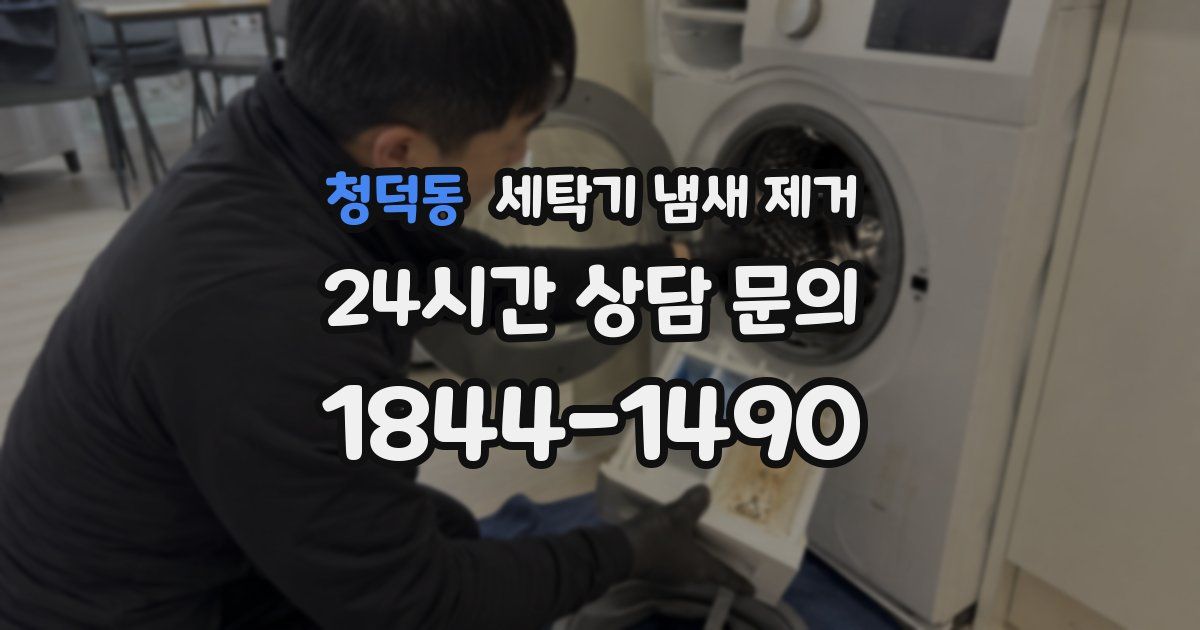 청덕동 세탁기 냄새 제거