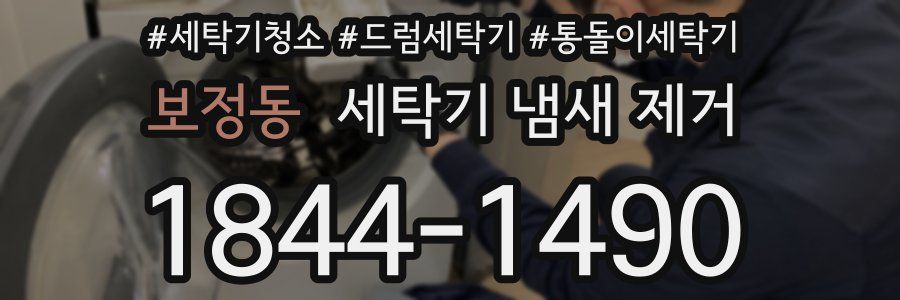 보정동 세탁기 냄새 제거
