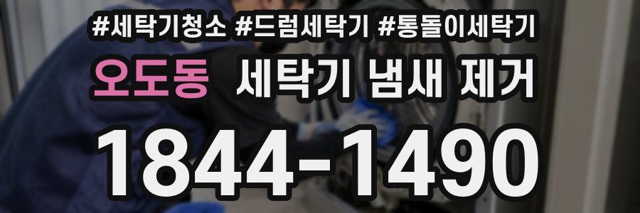 오도동 세탁기 냄새 제거