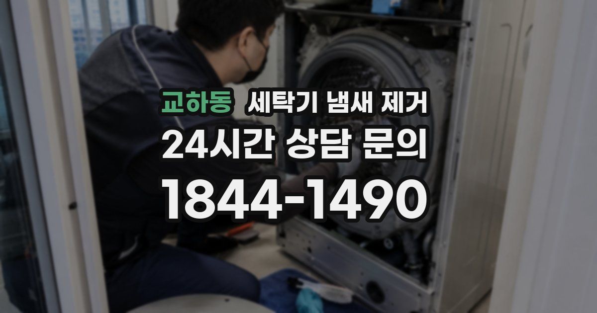 교하동 세탁기 냄새 제거