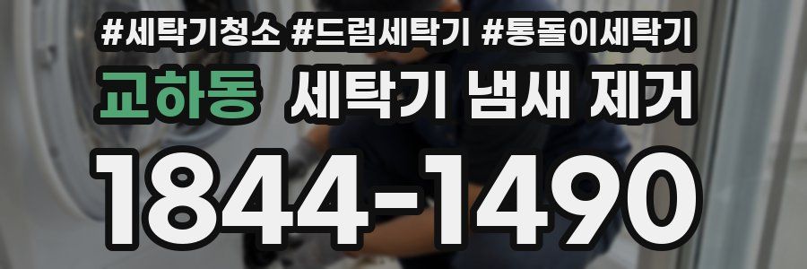 교하동 세탁기 냄새 제거