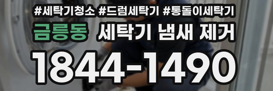 금릉동 세탁기 냄새 제거