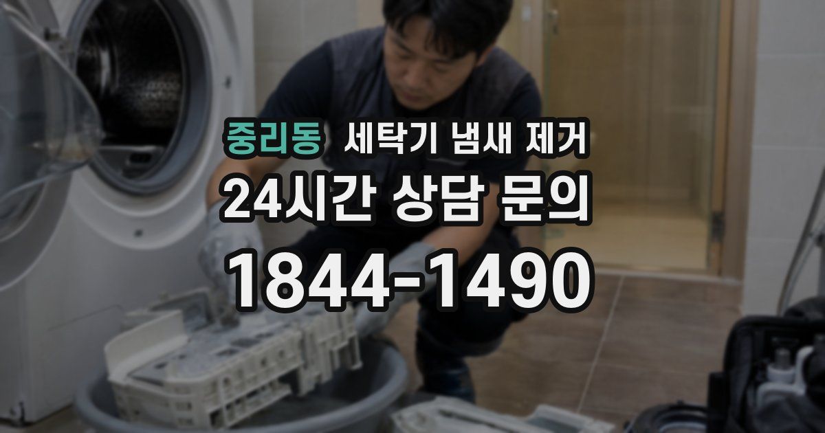 중리동 세탁기 냄새 제거