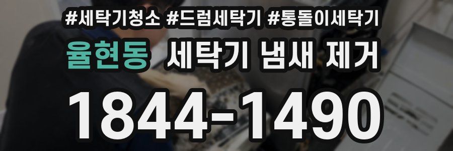 율현동 세탁기 냄새 제거