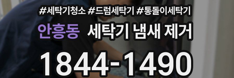 안흥동 세탁기 냄새 제거