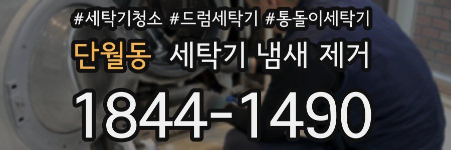 단월동 세탁기 냄새 제거