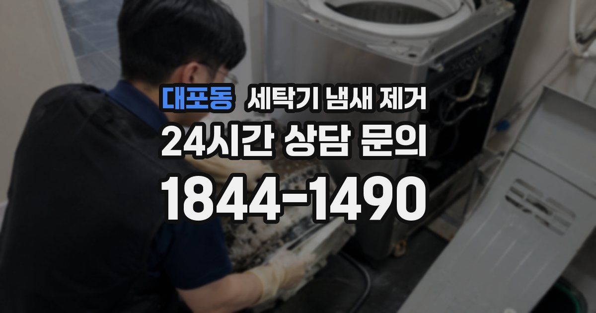 대포동 세탁기 냄새 제거