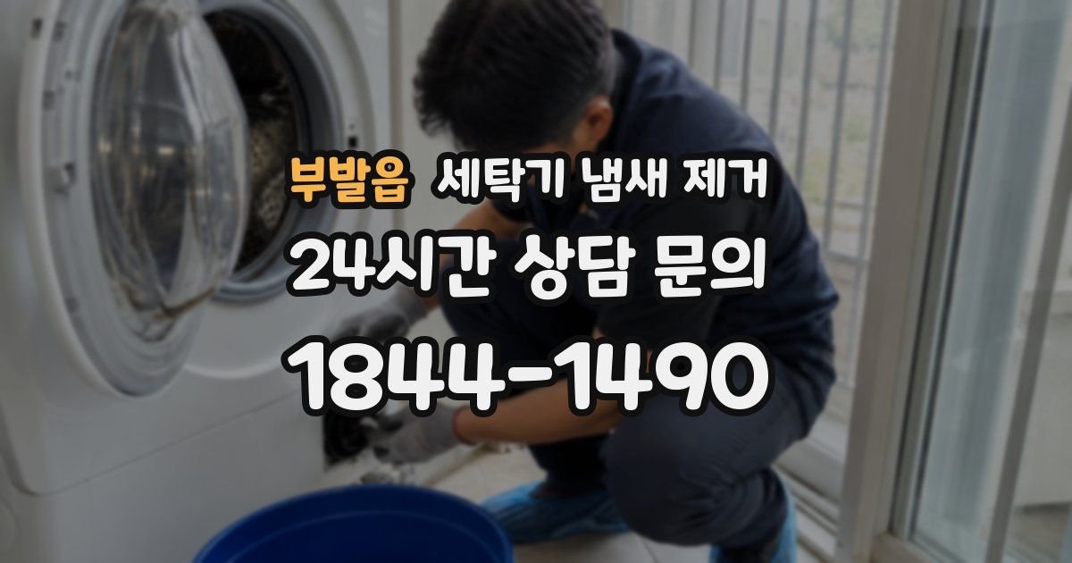 부발읍 세탁기 냄새 제거