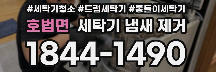 호법면 세탁기 냄새 제거