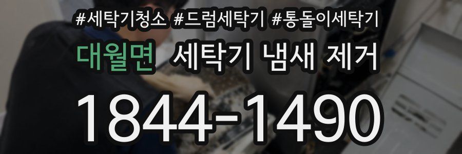 대월면 세탁기 냄새 제거