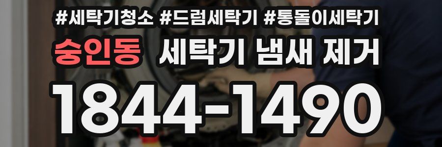 숭인동 세탁기 냄새 제거
