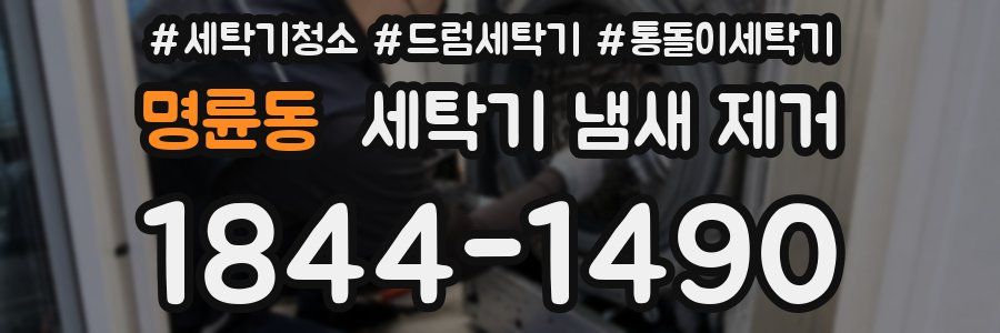 명륜동 세탁기 냄새 제거