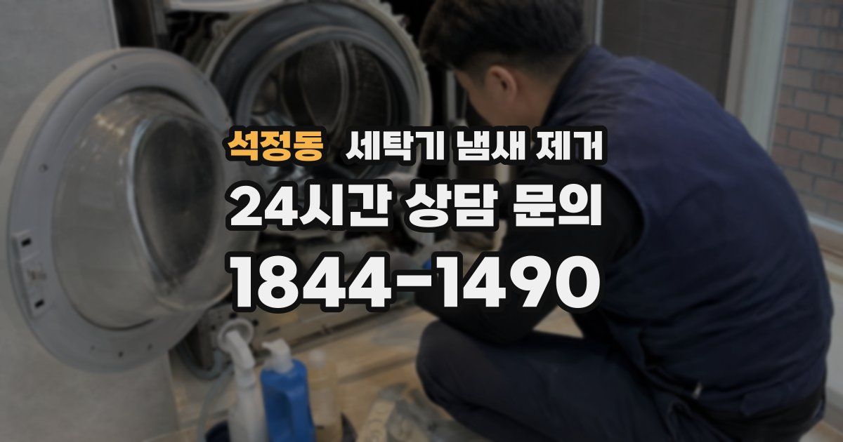 석정동 세탁기 냄새 제거