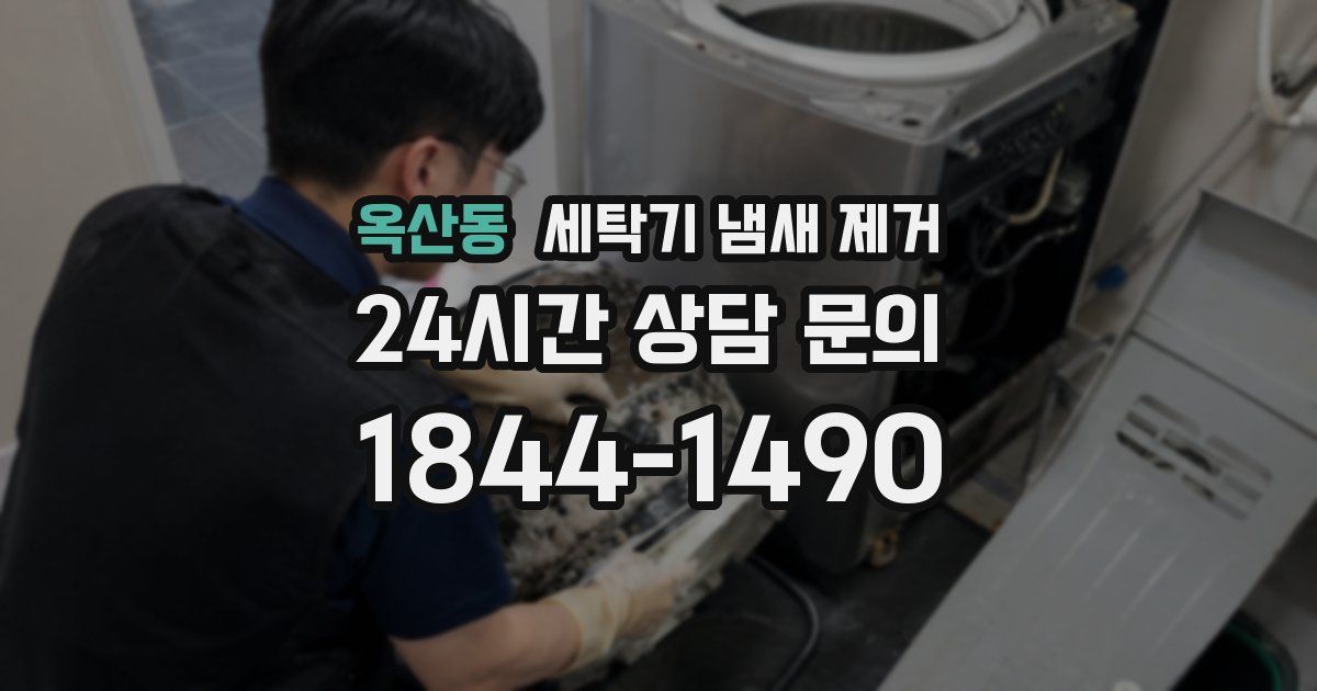 옥산동 세탁기 냄새 제거