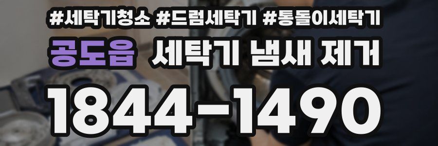공도읍 세탁기 냄새 제거