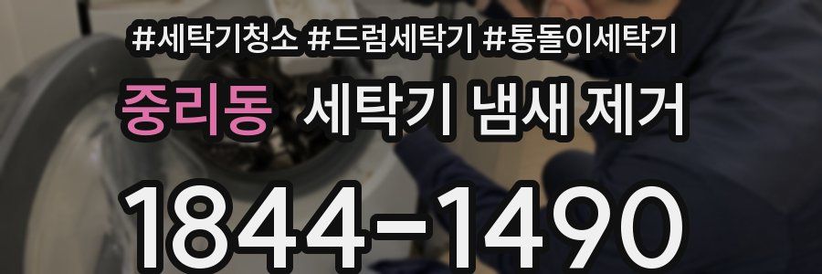 중리동 세탁기 냄새 제거