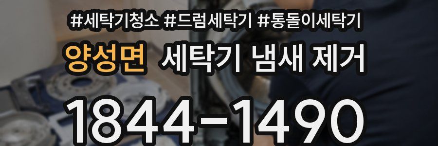 양성면 세탁기 냄새 제거