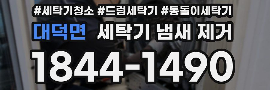 대덕면 세탁기 냄새 제거